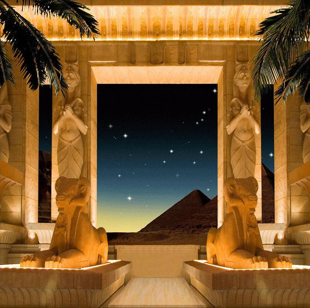 Egyptian Pharaoh Photo Backdrop - Basic 10  x 8  