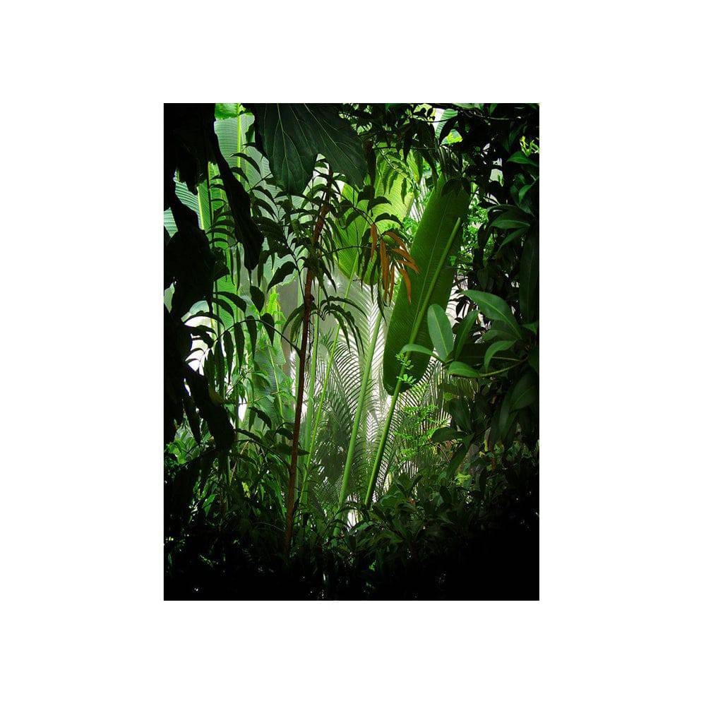 Rain Forest Photo Backdrop - Basic 4.4  x 5  