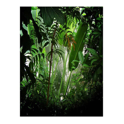 Rain Forest Photo Backdrop - Pro 6  x 8  