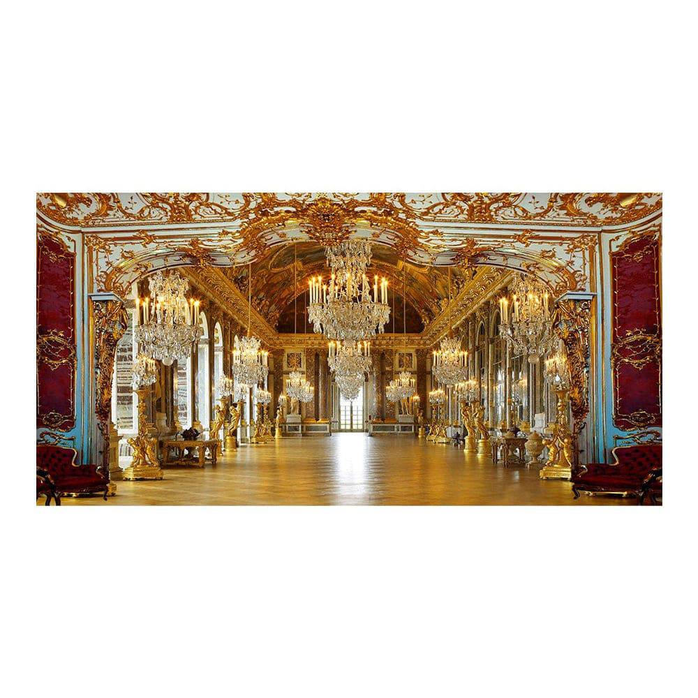 Regal Palace Royal Reception Photo Backdrop - Pro 16  x 9  