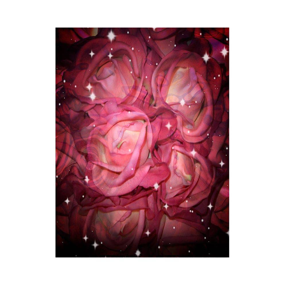 Starry Roses Photography Backdrop - Basic 5.5  x 6.5  