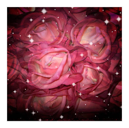 Starry Roses Photography Backdrop - Basic 8  x 8  