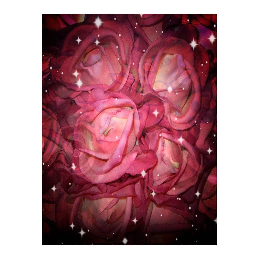 Starry Roses Photography Backdrop - Pro 6  x 8  