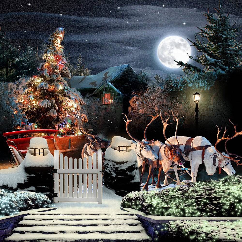 Santa Claus Decorations Christmas Photo Backdrop - Basic 10  x 8  