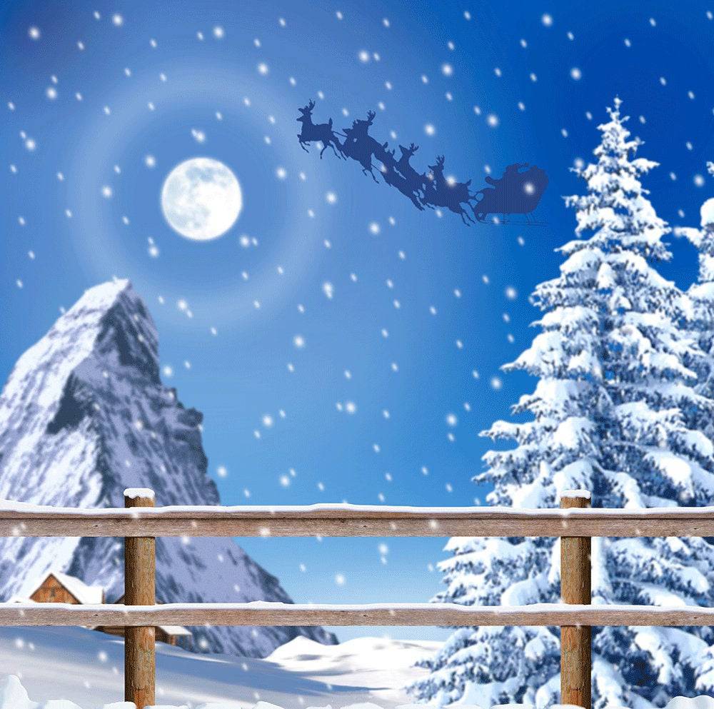 Santa's Sleigh Winter Photo Backdrop - Pro 10  x 10  