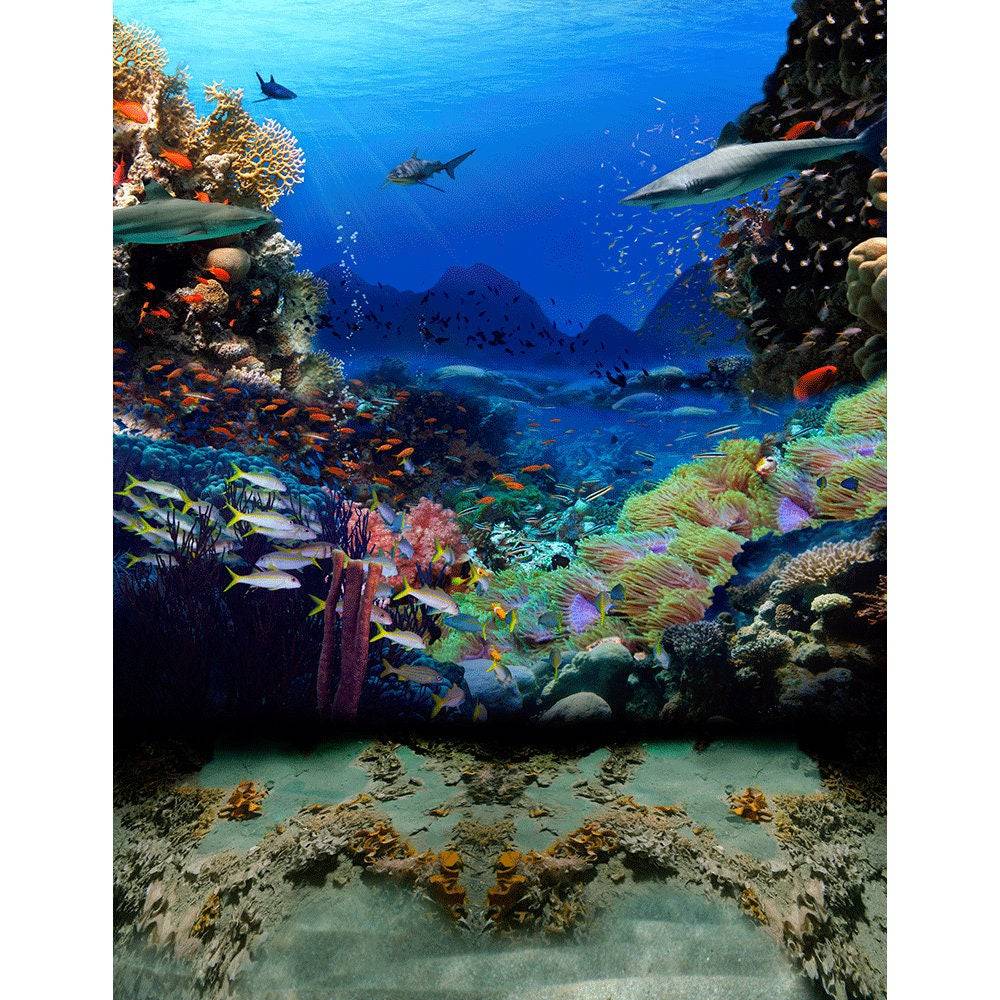 Shark Coral Reef Ocean Bottom Photo Backdrop - Basic 8  x 10  