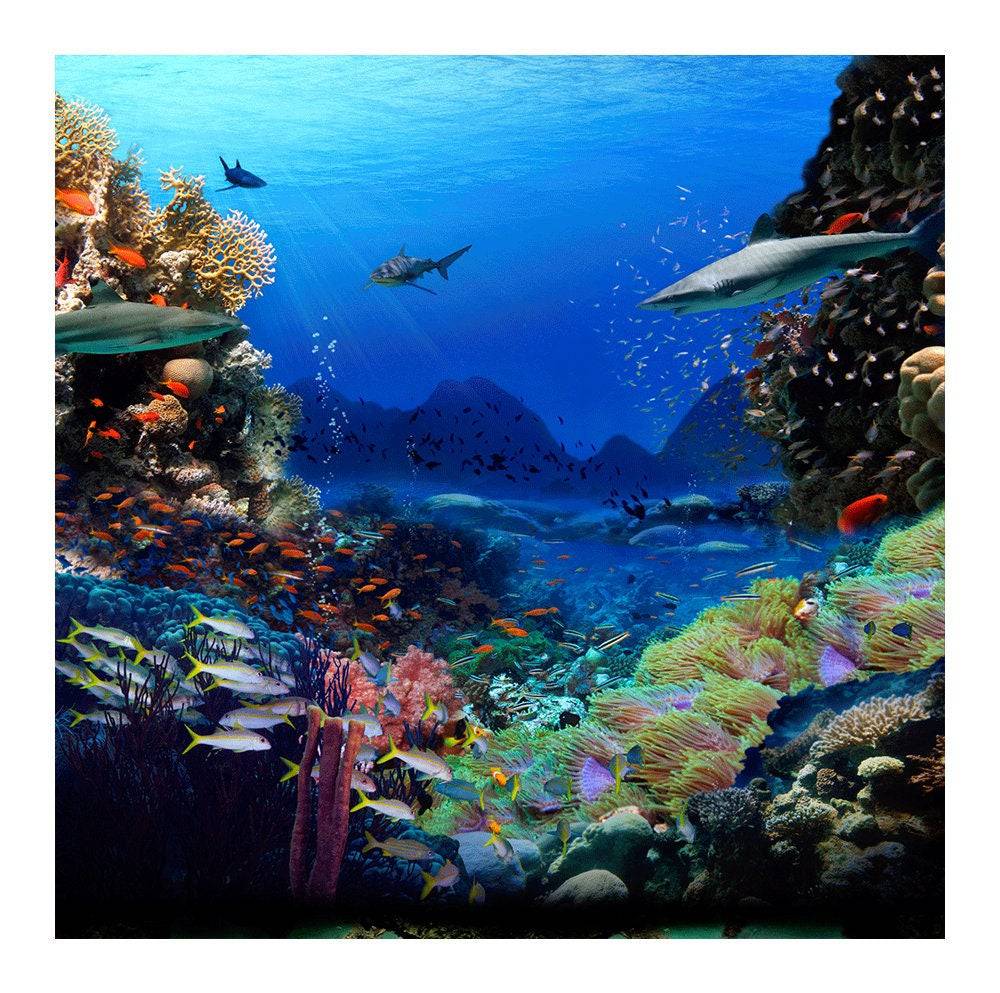 Shark Coral Reef Ocean Bottom Photo Backdrop - Pro 8  x 8  