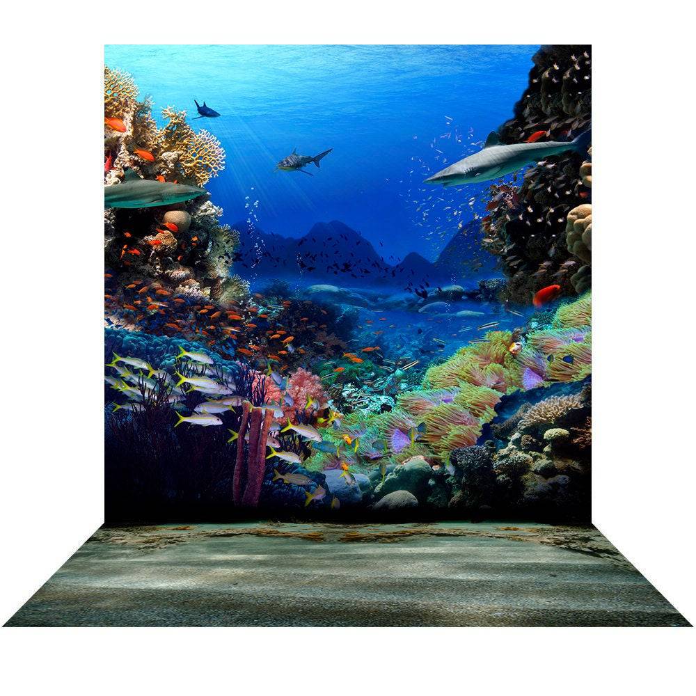 Shark Coral Reef Ocean Bottom Photo Backdrop - Pro 9  x 16  
