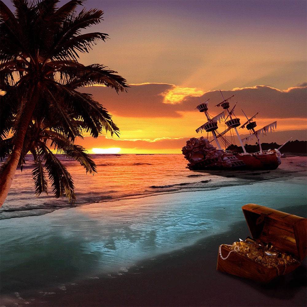 Shipwreck Sunset Beach Photo Backdrop - Pro 10  x 10  