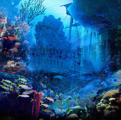Under Sea Pirate Shipwreck Photo Backdrop - Pro 10  x 10  