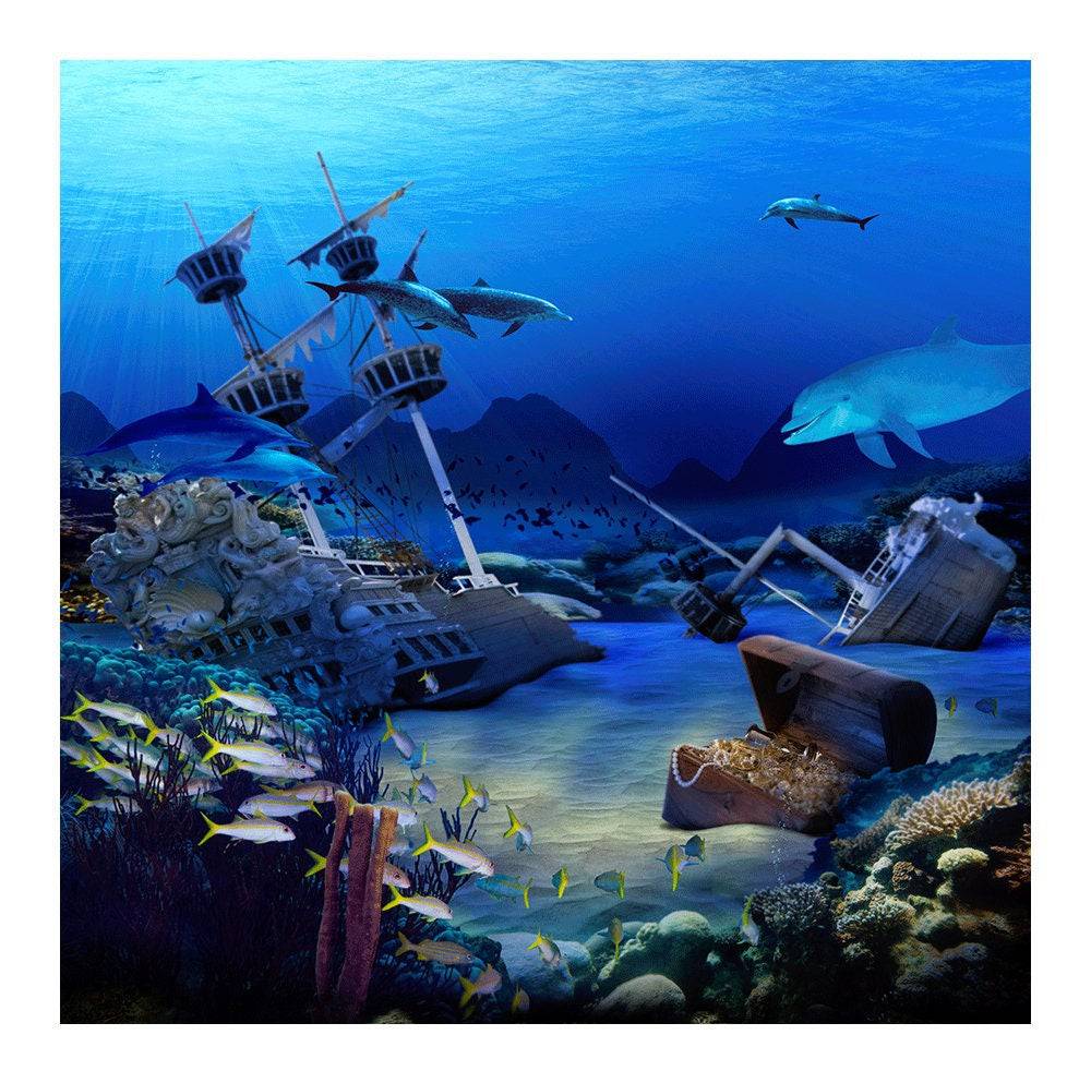 Sunken Treasure Shipwreck Photo Backdrop - Pro 8  x 8  
