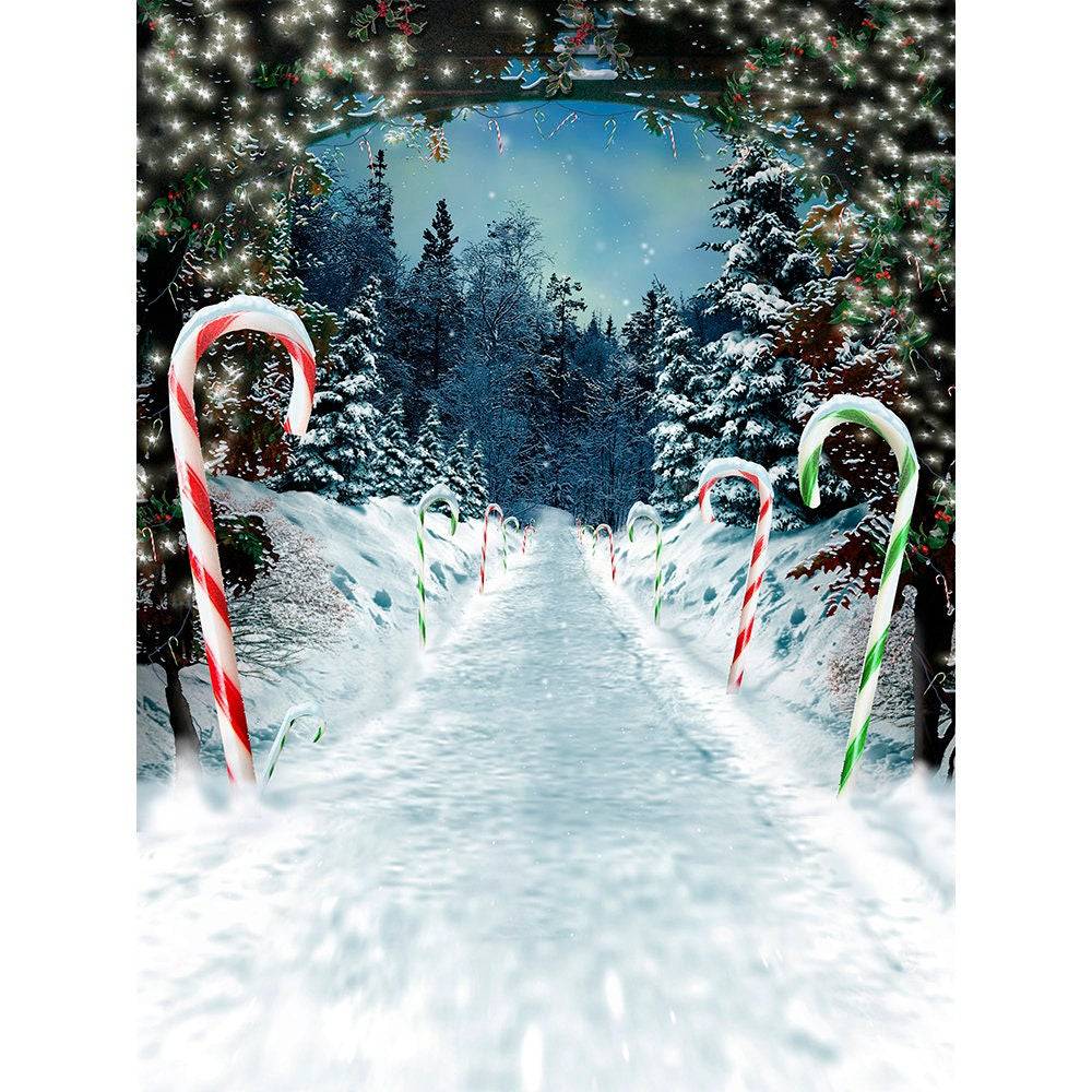 Snow Peppermint Lane Christmas Photo Backdrop - Basic 8  x 10  