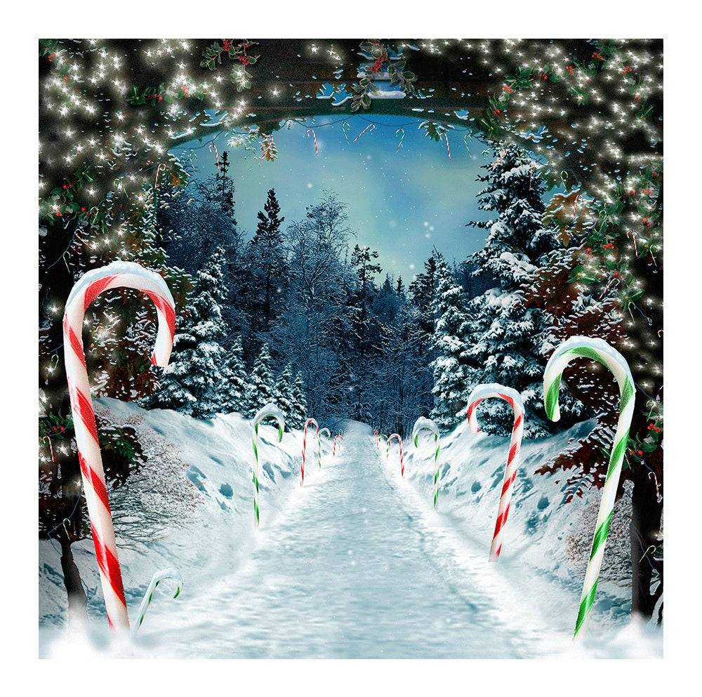 Snow Peppermint Lane Christmas Photo Backdrop - Basic 8  x 8  