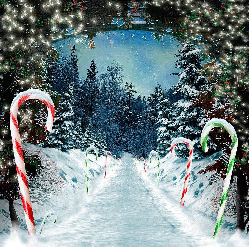 Snow Peppermint Lane Christmas Photo Backdrop - Pro 10  x 10  