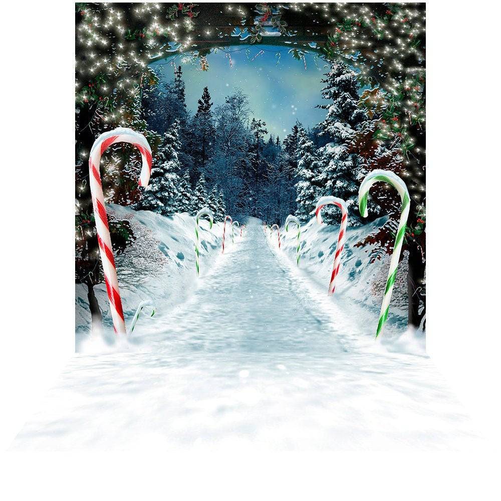 Snow Peppermint Lane Christmas Photo Backdrop - Pro 10  x 20  