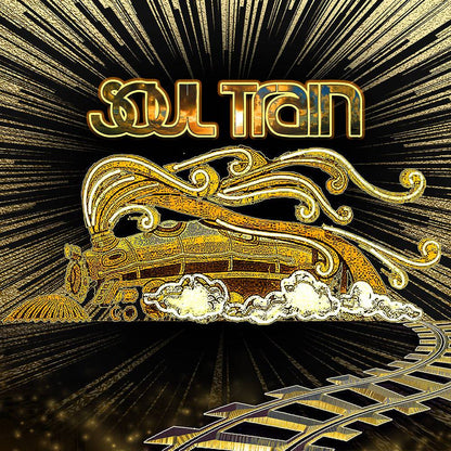 Solid Gold Soul Train Party Photo Backdrop - Pro 10  x 8  