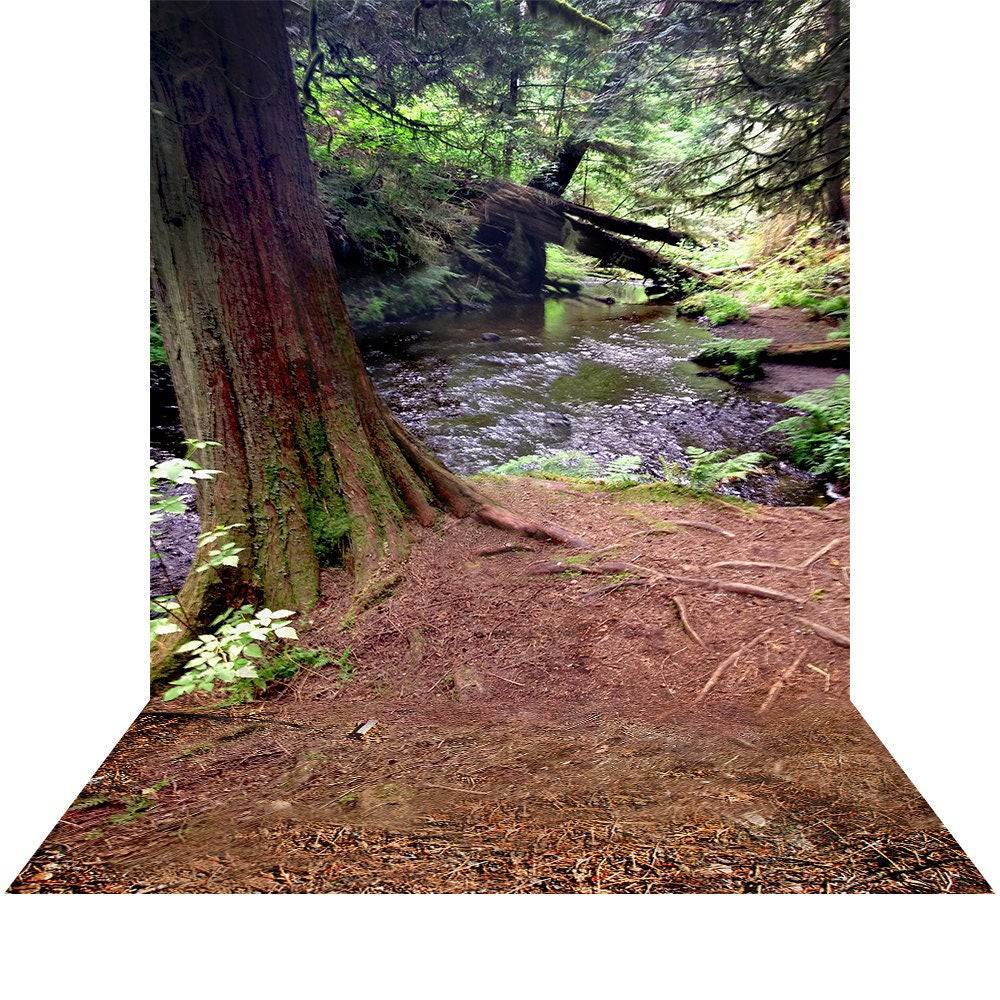 Red Wood Forest Photo Backdrop - Basic 8  x 16  