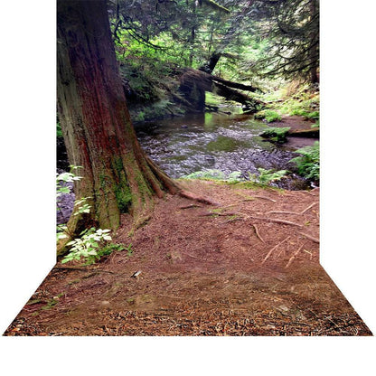 Red Wood Forest Photo Backdrop - Basic 8  x 16  