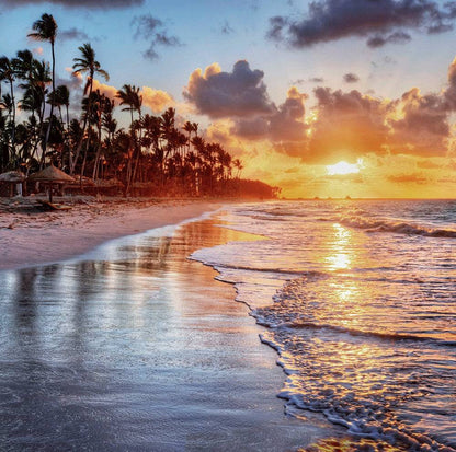 Sunset Beach Palm Trees Photo Backdrop - Basic 10  x 8  