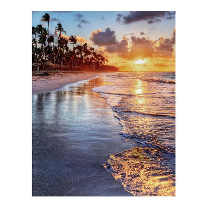 Sunset Beach Palm Trees Photo Backdrop - Basic 6  x 8  