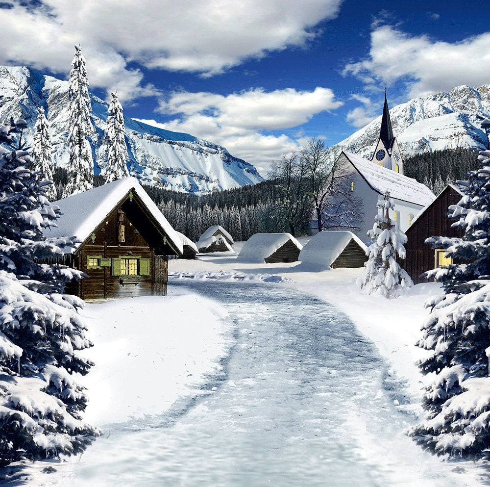 Swiss Winter Holiday Photo Backdrop - Pro 10  x 10  