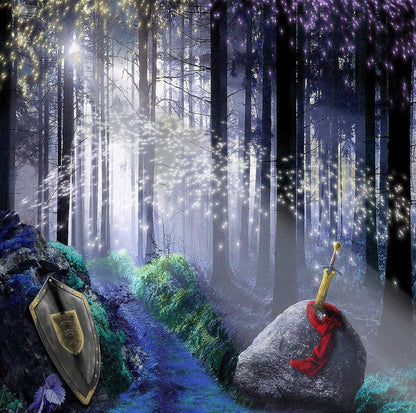 King Arthur's Sword in the Stone Backdrop, Backgrounds Banners - Basic 10  x 8  