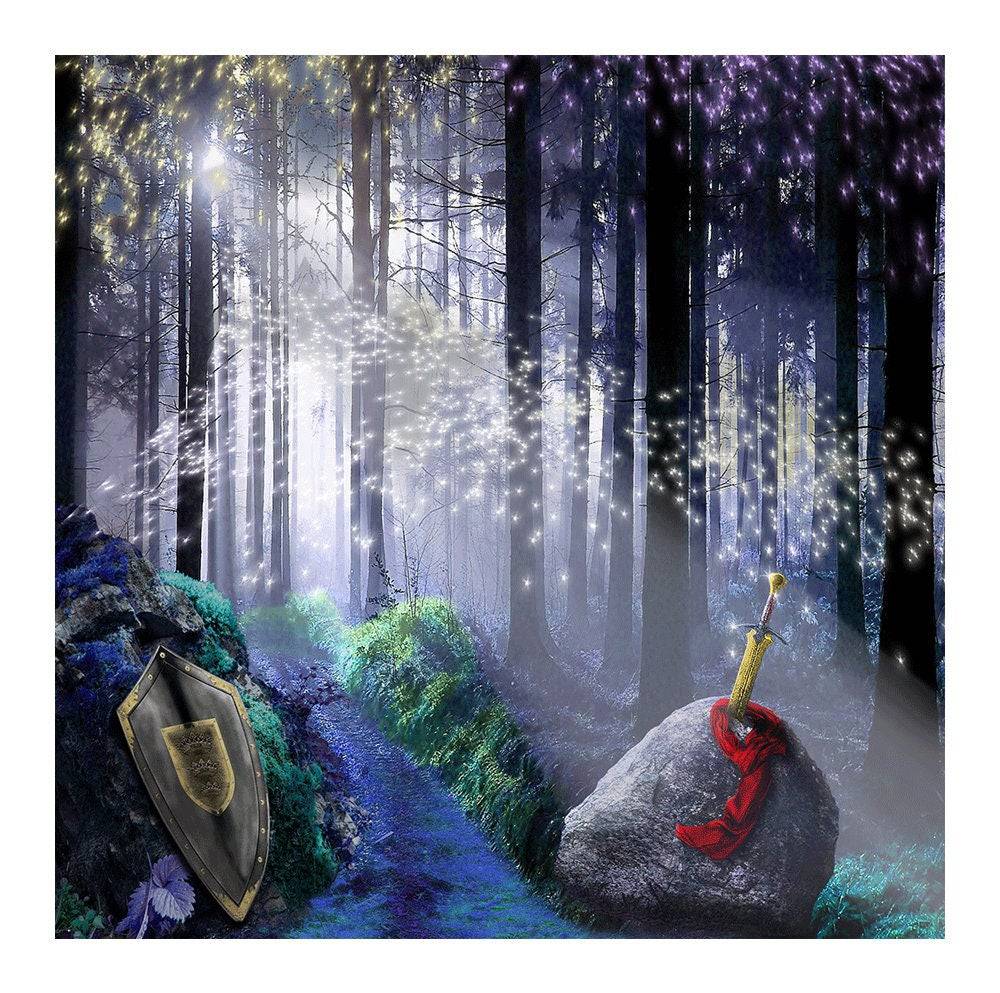 King Arthur's Sword in the Stone Backdrop, Backgrounds Banners - Pro 8  x 8  