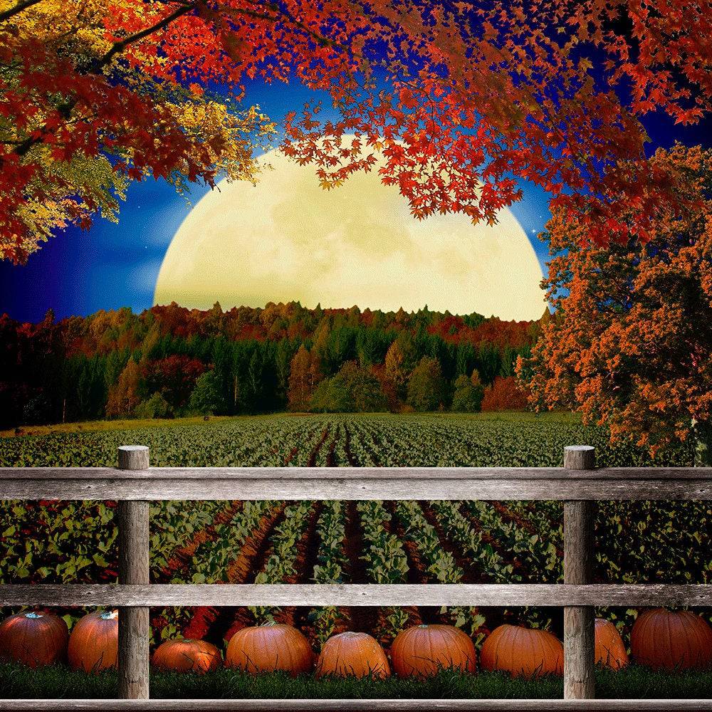 The Great Pumpkin Patch Photo Backdrop - Basic 10  x 8  
