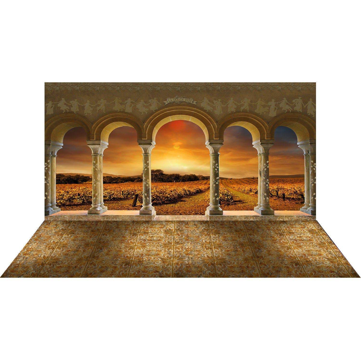 Tuscan Vineyard Sunset Archway Photo Backdrop - Basic 16  x 16  