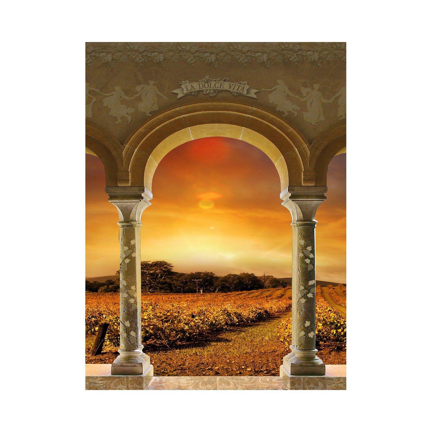 Tuscan Vineyard Sunset Archway Photo Backdrop - Basic 5.5  x 6.5  
