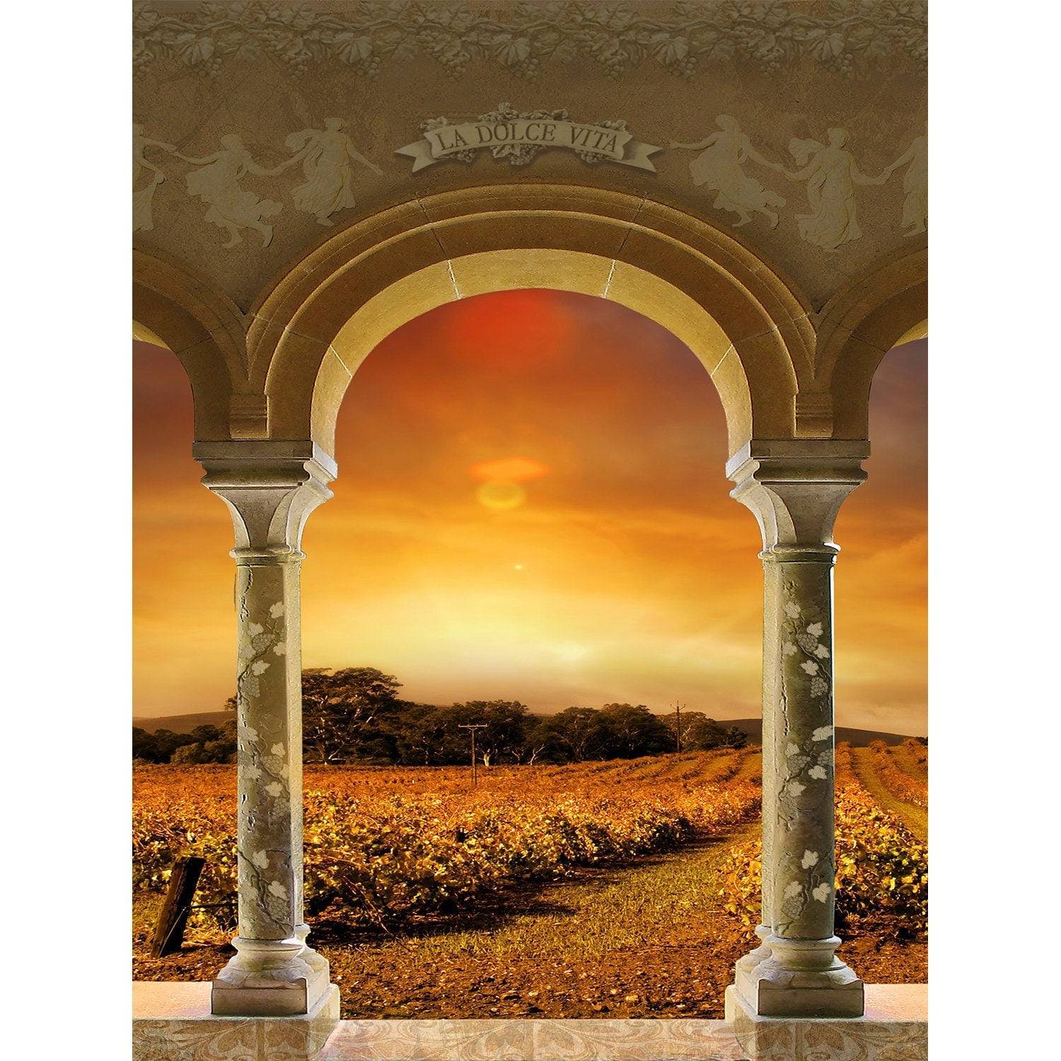 Tuscan Vineyard Sunset Archway Photo Backdrop - Basic 8  x 10  
