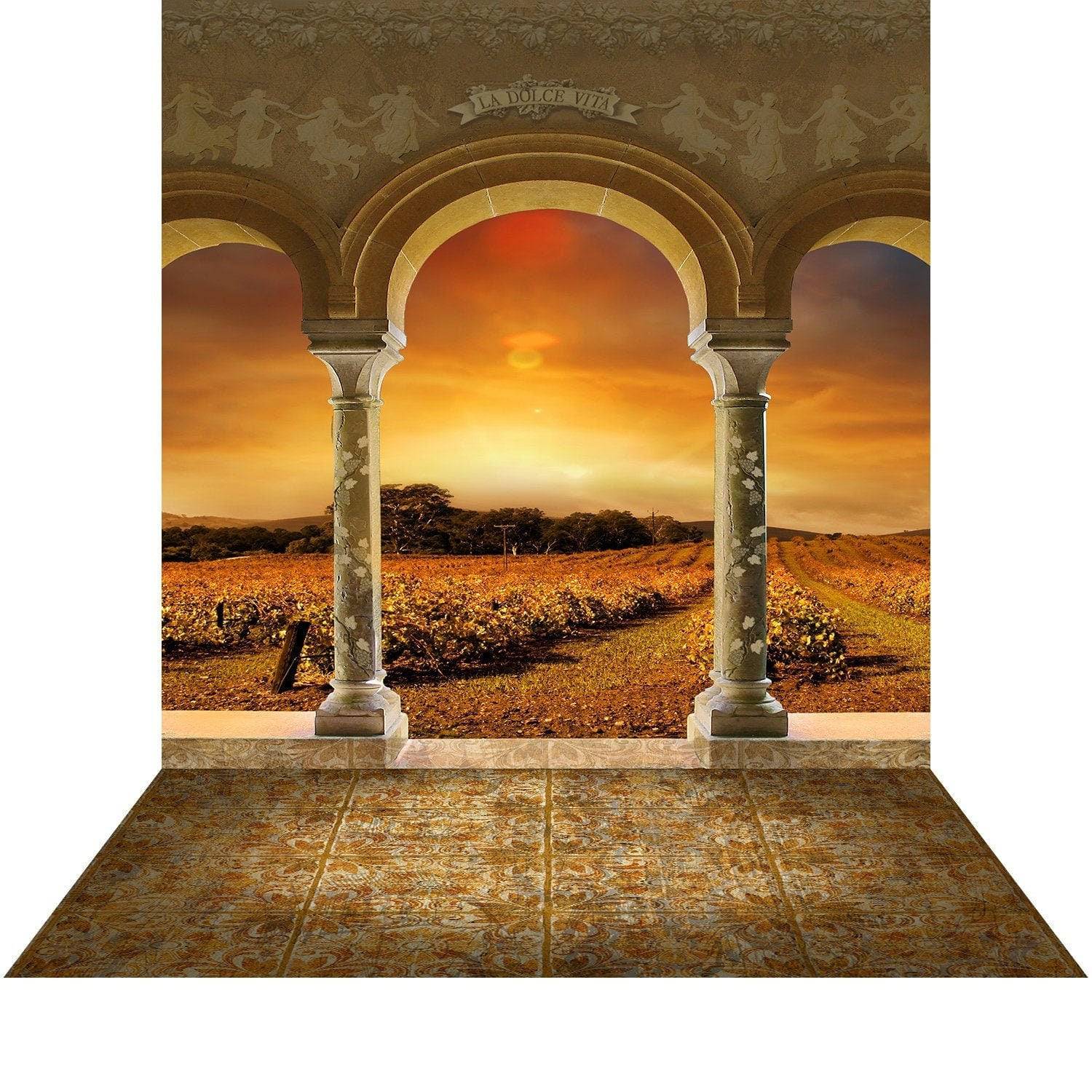 Tuscan Vineyard Sunset Archway Photo Backdrop - Basic 8  x 16  