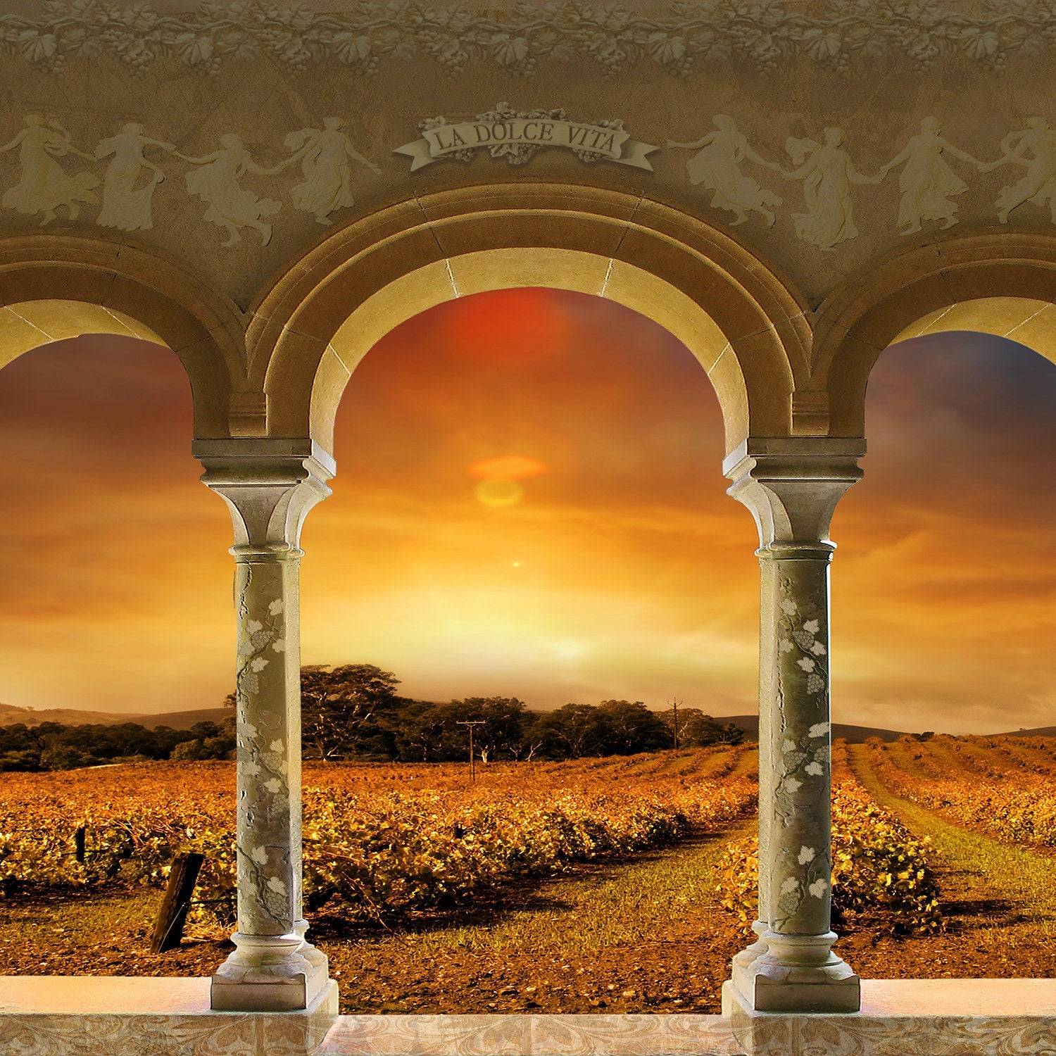 Tuscan Vineyard Sunset Archway Photo Backdrop - Pro 10  x 10  