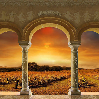 Tuscan Vineyard Sunset Archway Photo Backdrop - Pro 10  x 8  