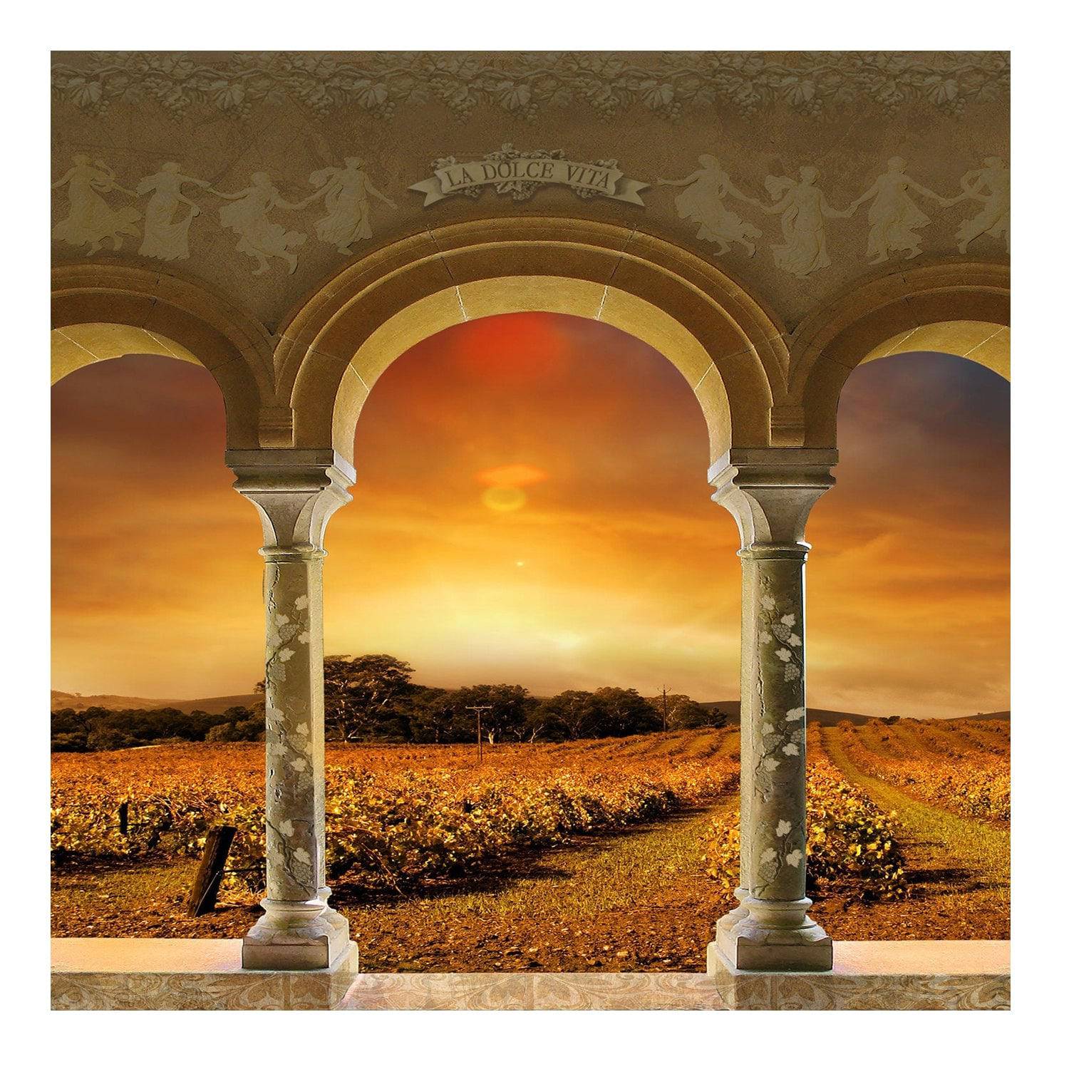 Tuscan Vineyard Sunset Archway Photo Backdrop - Pro 8  x 8  
