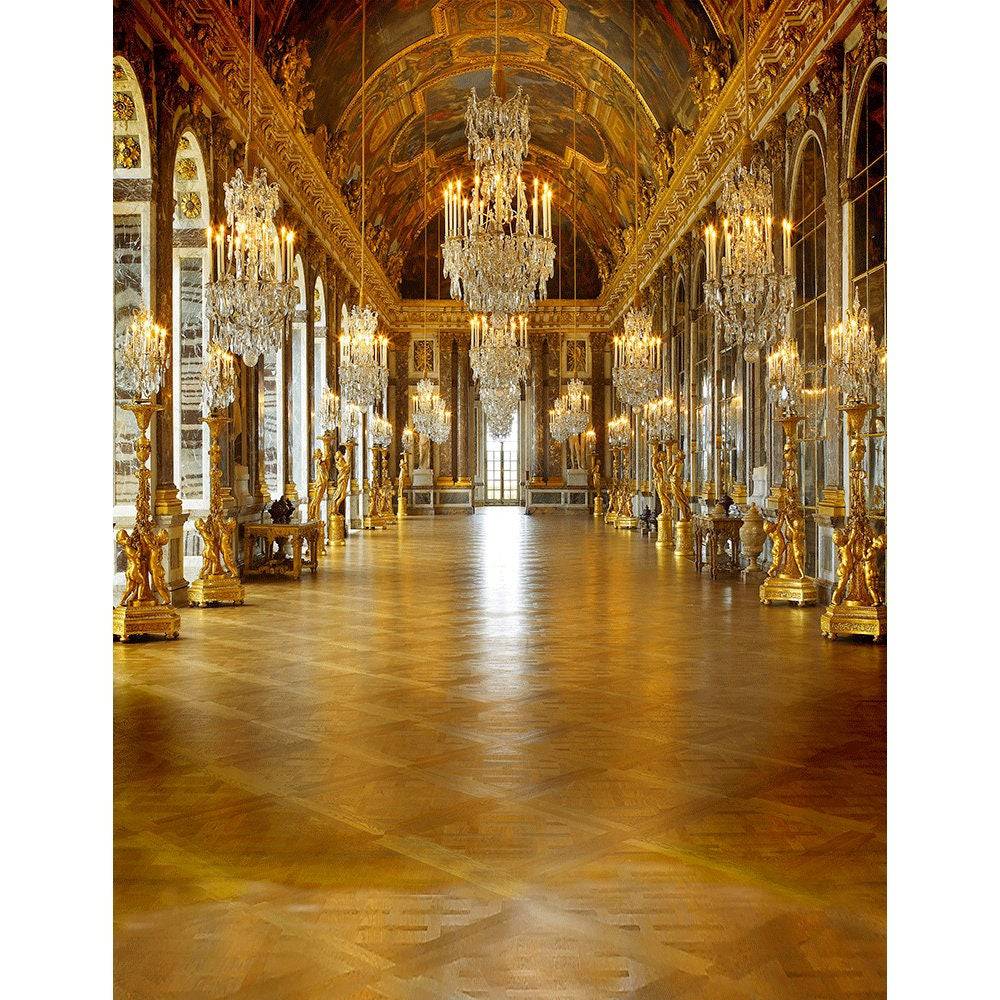 Versailles France Chandelier Hall Photo Backdrop - Pro 8  x 10  