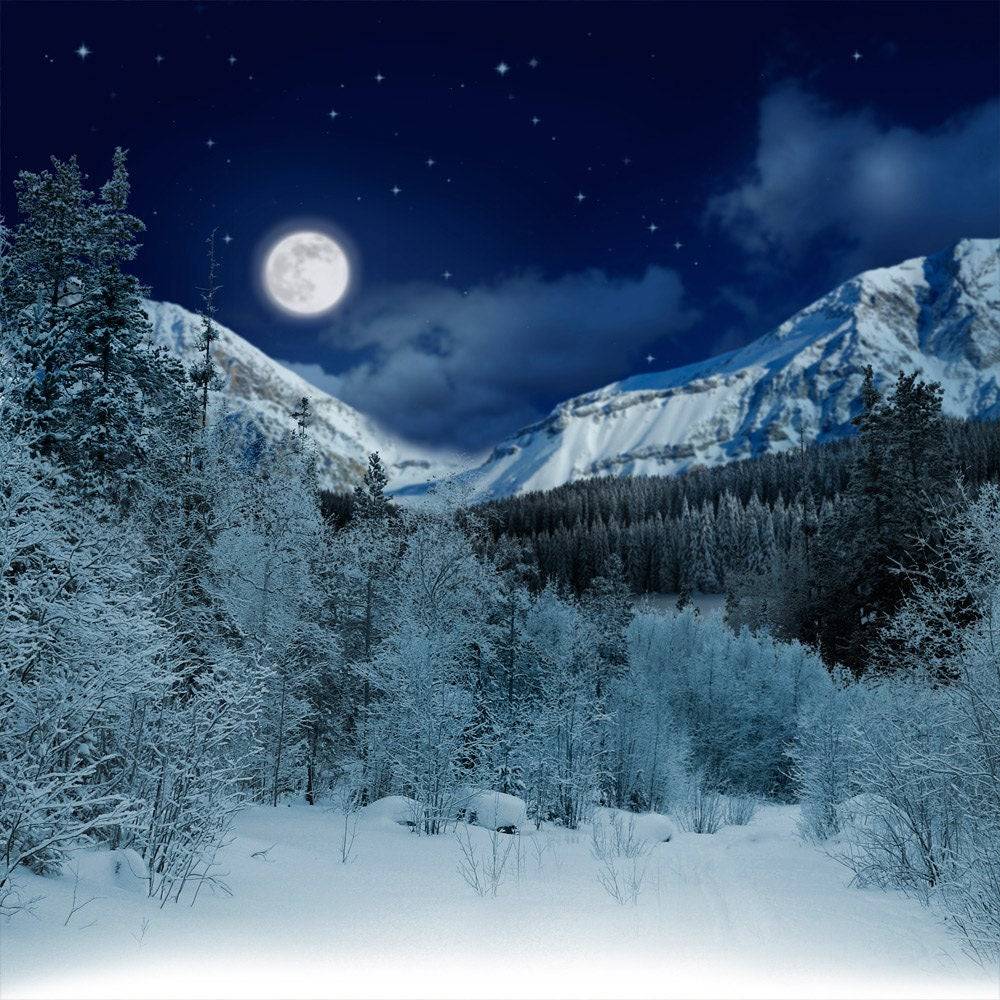 White Snowy Alpine Photo Backdrop - Basic 10  x 8  