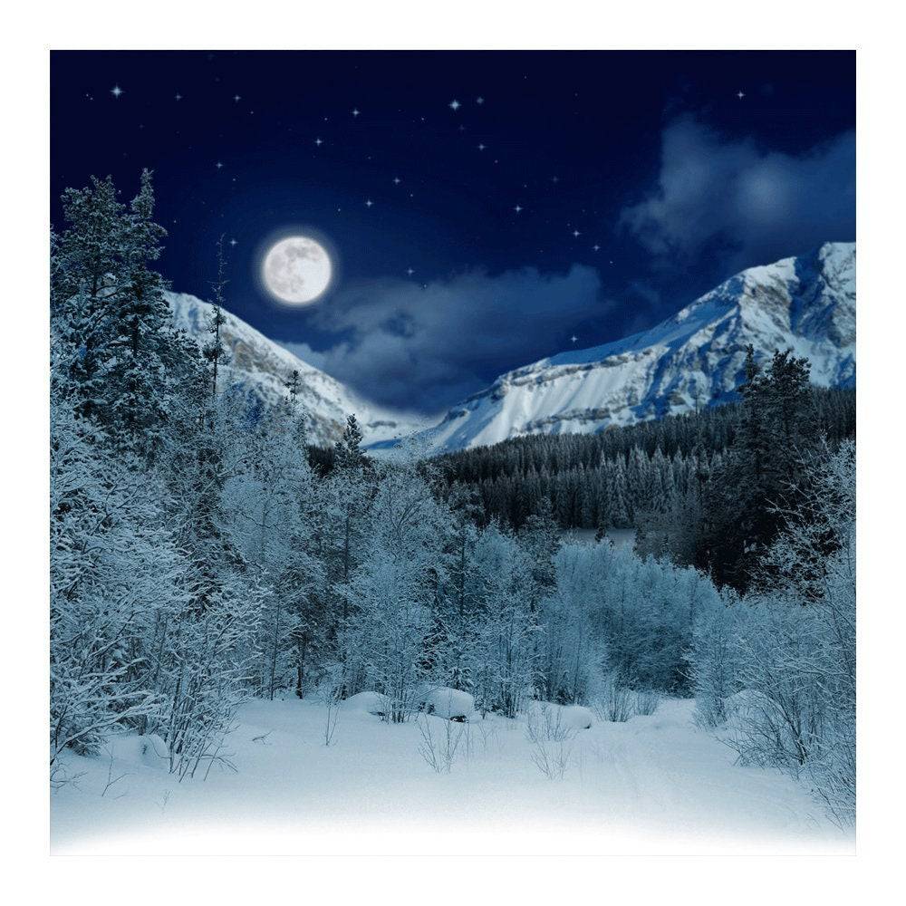 White Snowy Alpine Photo Backdrop - Basic 8  x 8  