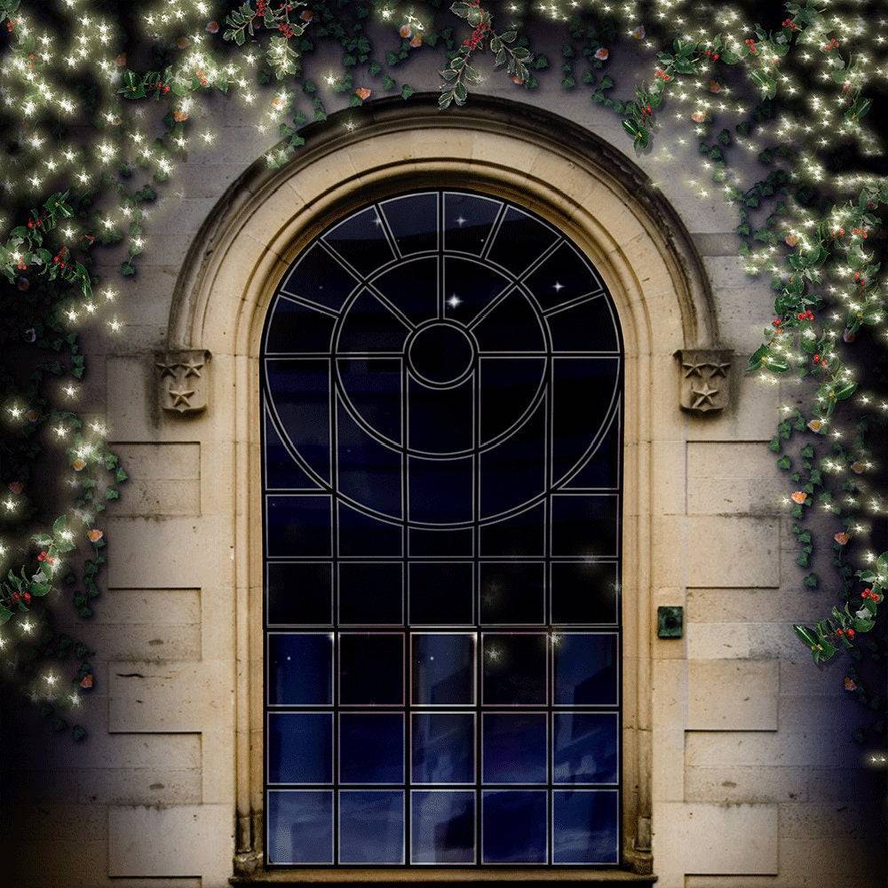 Chapel Window Arch Photography Backdrop - Basic 10  x 8  
