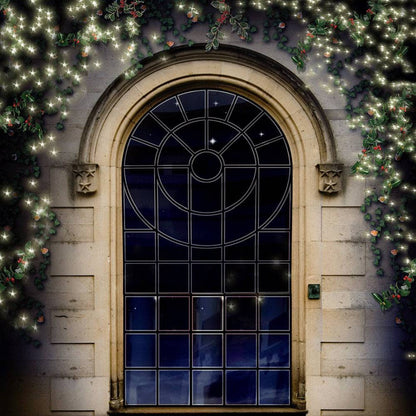 Chapel Window Arch Photography Backdrop - Pro 10  x 10  