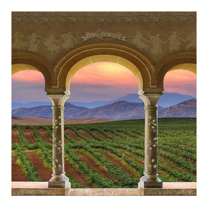 Wine Country Vineyard Columns Photography Backdrop - Basic 8  x 8  