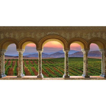 Wine Country Vineyard Columns Photography Backdrop - Pro 20  x 10  