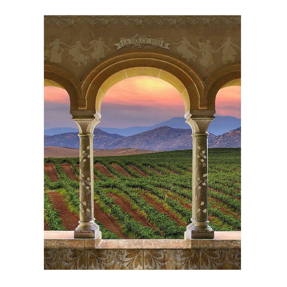 Wine Country Vineyard Columns Photography Backdrop - Pro 6  x 8  