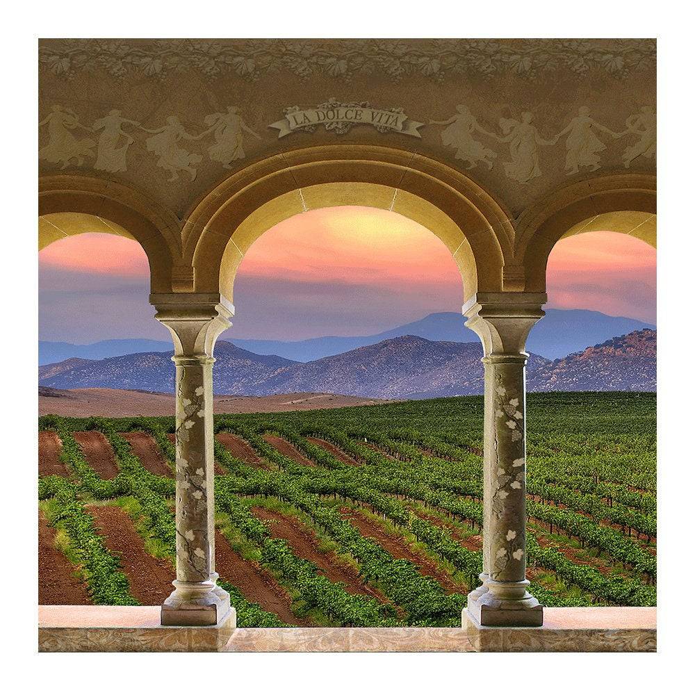 Wine Country Vineyard Columns Photography Backdrop - Pro 8  x 8  