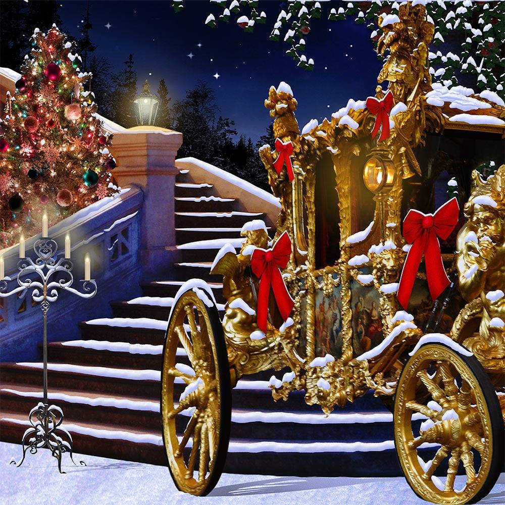 Winter Ball Holiday Carriage Photo Backdrop - Pro 10  x 10  