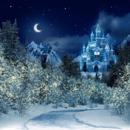 Snowy Winter Castle At Night Photo Backdrop - Pro 10  x 8  