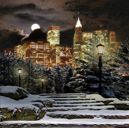 Winter City At Night Photo Backdrop - Basic 10  x 8  