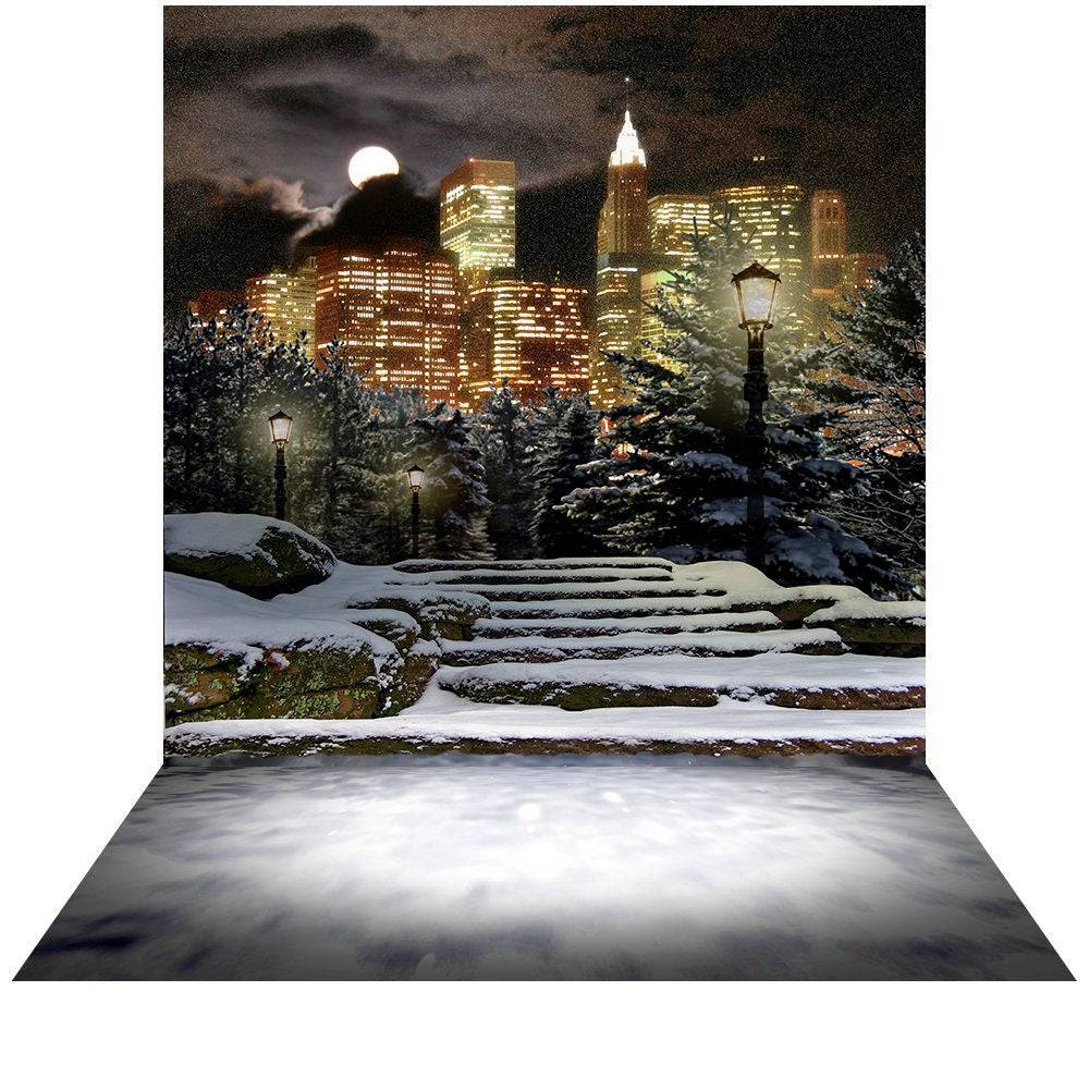 Winter City At Night Photo Backdrop - Basic 8  x 16  