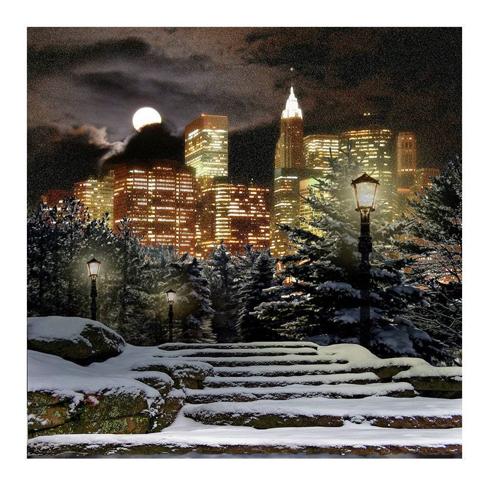 Winter City At Night Photo Backdrop - Pro 8  x 8  